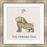 Framed Bunny Yoga,  Upward Dog Pose