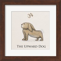 Framed Bunny Yoga,  Upward Dog Pose