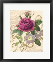 Bloomsbury II Framed Print