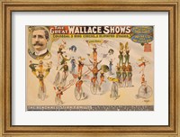 Framed Colossal Three Ring Circus