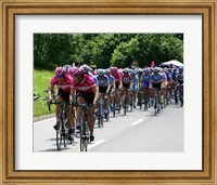Framed Tour de France 2005