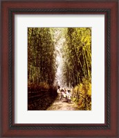 Framed Bamboo Path