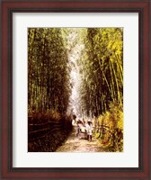 Framed Bamboo Path