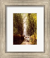 Framed Bamboo Path