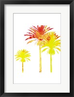 Framed Sunny Palm I