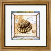 Framed Sea Treasures V