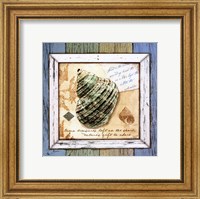 Framed Sea Treasures VI