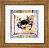 Framed Sea Treasures VII