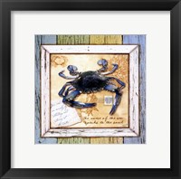 Sea Treasures VII Framed Print