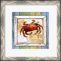 Framed Sea Treasures VIII