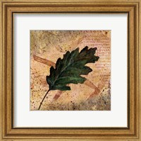 Framed Antiqued Leaves II