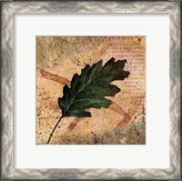 Framed Antiqued Leaves II