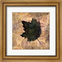 Framed Antiqued Leaves III