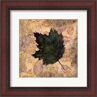 Framed Antiqued Leaves III