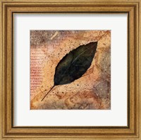 Framed Antiqued Leaves IV