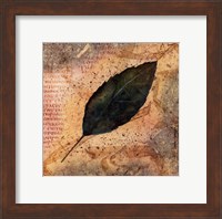 Framed Antiqued Leaves IV