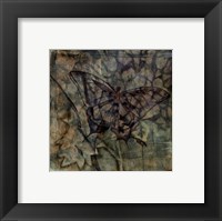 Small Ethereal Wings VI Framed Print