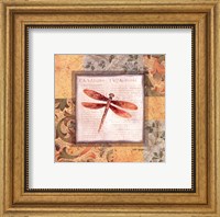 Framed Collaged Dragonflies II