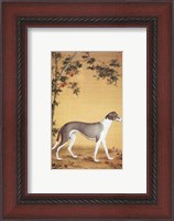 Framed Greyhound by Bamboo