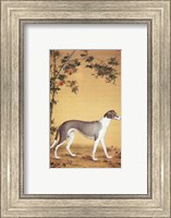 Framed Greyhound by Bamboo