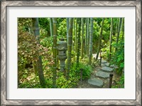 Framed Hasedera-Bamboo Grove