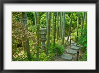 Framed Hasedera-Bamboo Grove