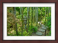 Framed Hasedera-Bamboo Grove