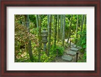 Framed Hasedera-Bamboo Grove