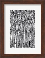 Framed Man and Bamboo