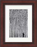 Framed Man and Bamboo