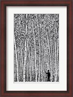 Framed Man and Bamboo