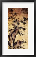 Framed Xia Chang-Bamboo and Stone