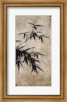 Framed Xia Chang- Ink Bamboo