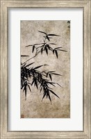 Framed Xia Chang- Ink Bamboo