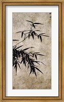 Framed Xia Chang- Ink Bamboo