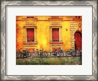 Framed Bicicletta IV