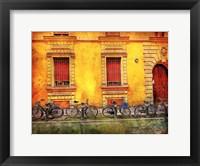 Framed Bicicletta IV