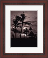 Framed Palms At Night I