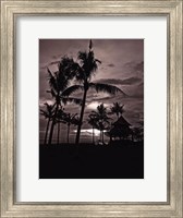 Framed Palms At Night I