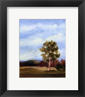 Small Summer horizons VI Framed Print