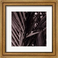 Framed Bamboo Study I