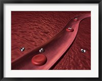 Framed Close-up of red blood cells