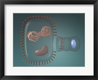 Close-up of antigens produced in the human cell Framed Print