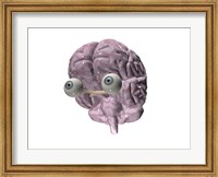 Framed Close-up of a human brain with eye balls