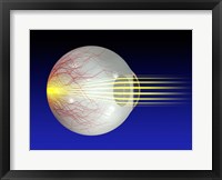 Close-up of the human eyeball Framed Print
