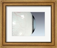 Framed Close-up of the human eyeball side view