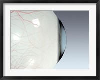 Framed Close-up of the human eyeball side view