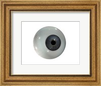 Framed Close-up of the human eyeball frontal view