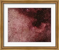 Framed North America Nebula In Cygnus