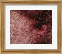Framed North America Nebula In Cygnus